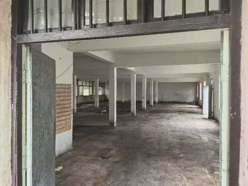 香飄飄食品寧波工廠被高價拍賣，銀箔畫收藏引發市場關注